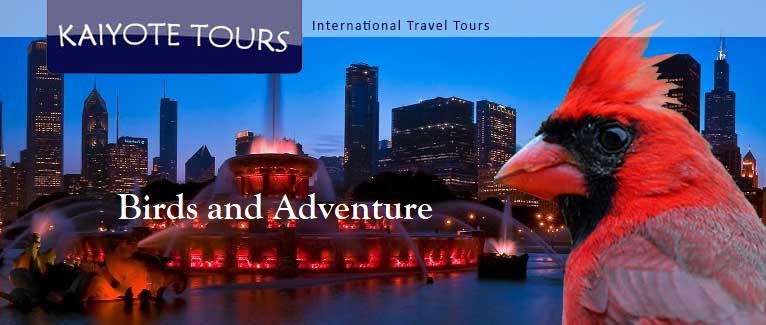 Dates and pricing Dates and pricing