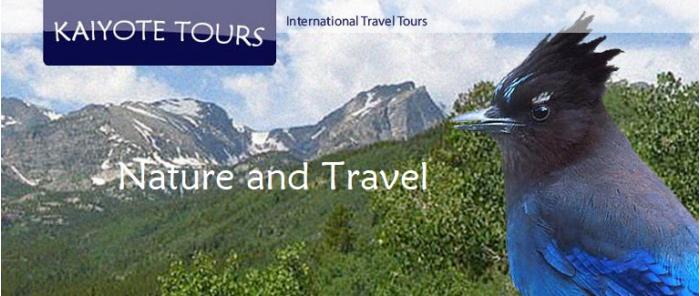 Dates and pricing Dates and pricing
